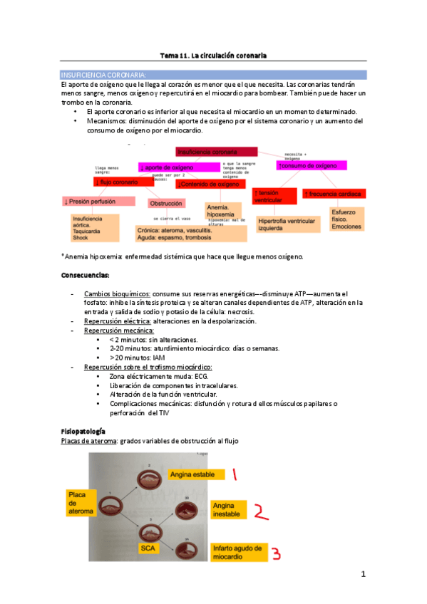 Tema-11.-Circulacion-coronaria.pdf