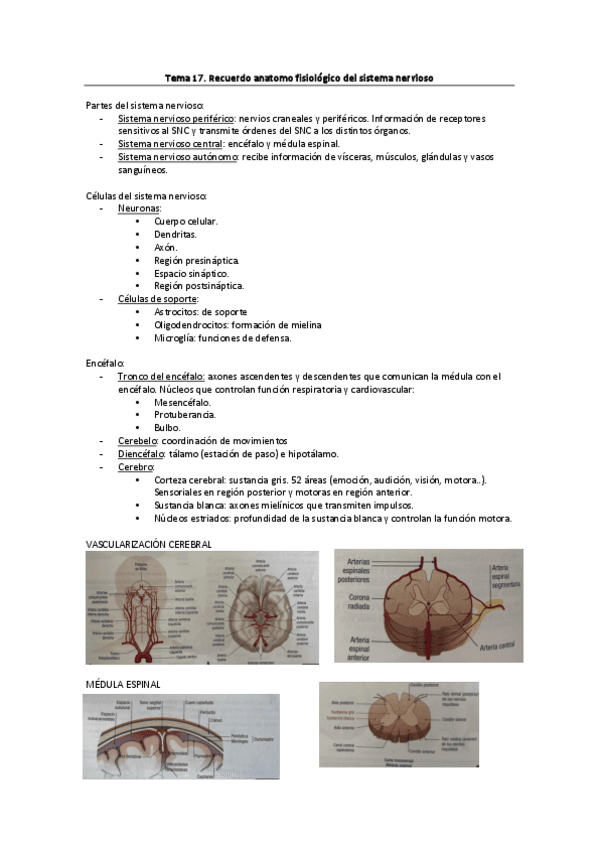 Tema-17.-Recuerdo-anatomofisiologico-del-sistema-nervioso.pdf