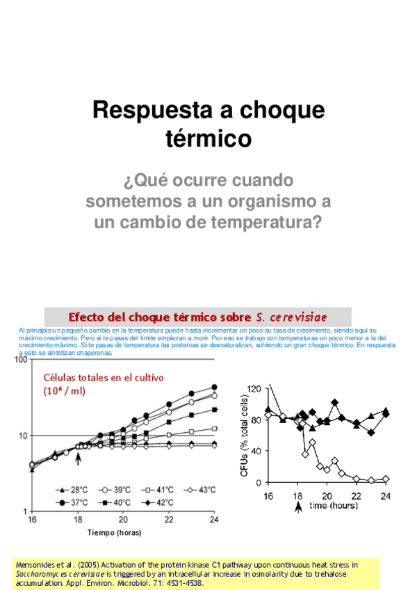 3.-Termicogeneralstress.pdf