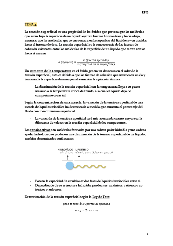 resumen-EFQ-T4.pdf