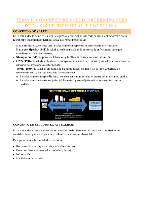 SALUD-PUBLICA-APUNTES.pdf