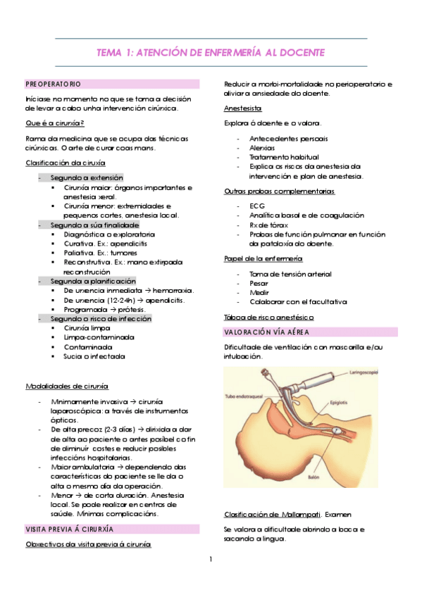 Apuntes-iria-completos.pdf