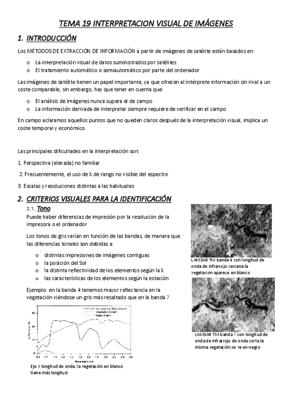 TEMA-19-INTERPRETACION-VISUAL-DE-IMAGENES.pdf