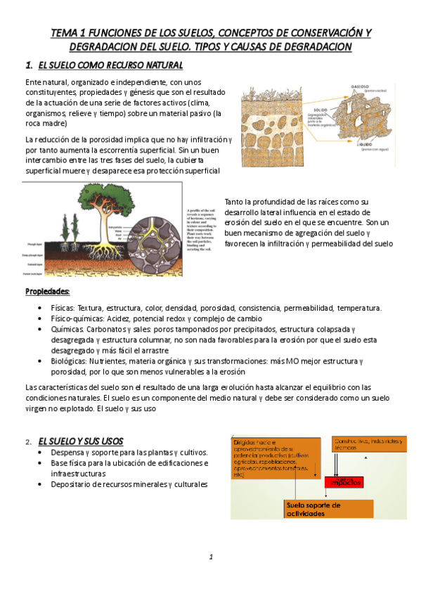 TEMA-1-FUNCIONES-DE-LOS-SUELOS.pdf
