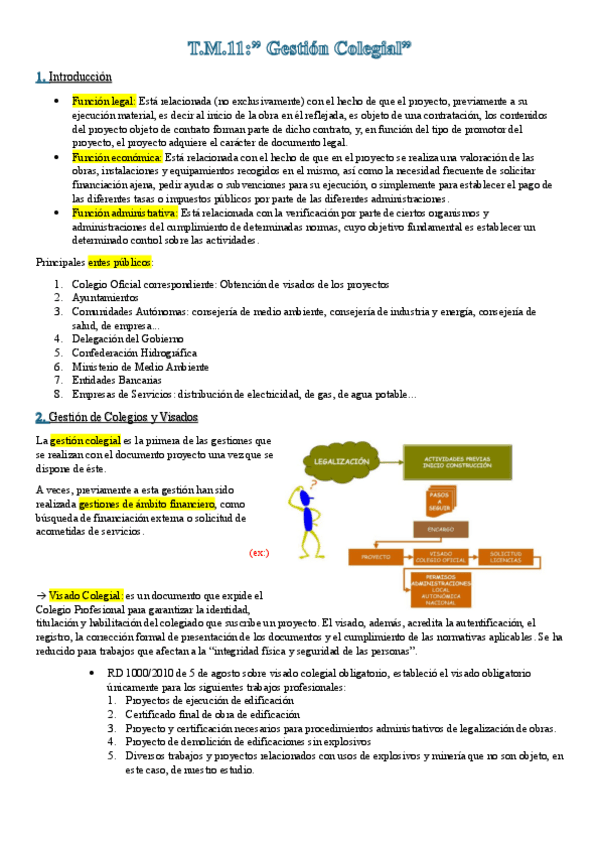 Tm11ProyectosIng.pdf
