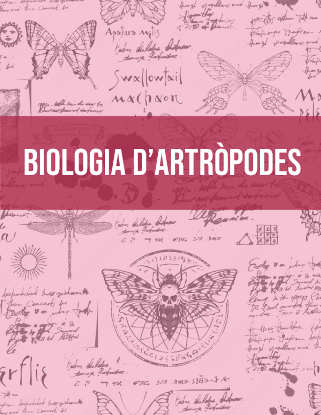 ARTROPODES-TEMES-10-12-Ana-Vilches.pdf