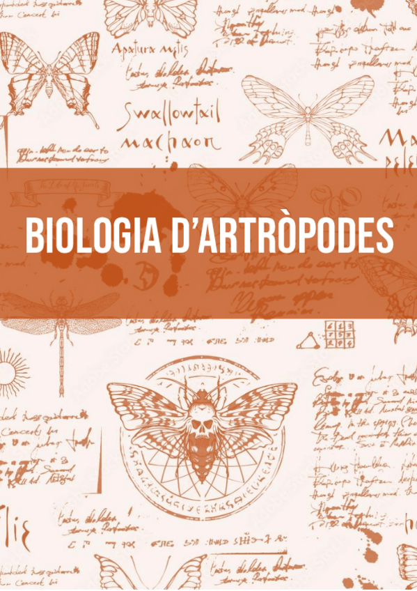 ATROPODES-TEMES-13-14-Ana-Vilches.pdf