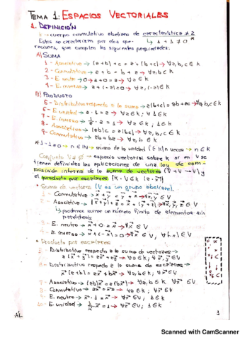 Espacios vectoriales.pdf