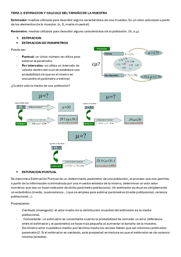 TEMA-3-TEIS.pdf