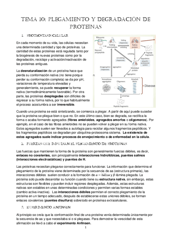 tema-10.pdf