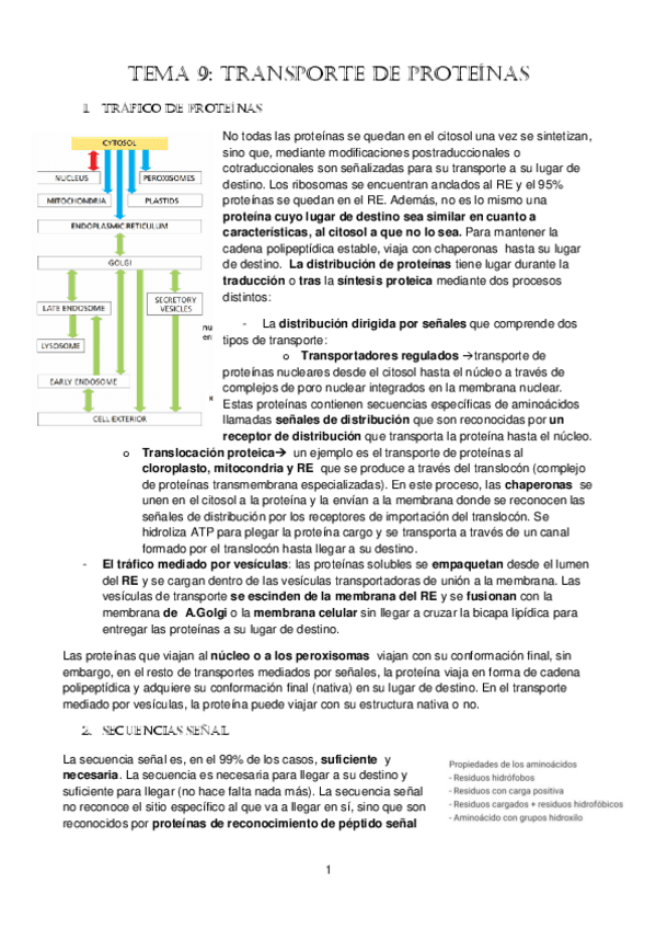 tema-9.pdf