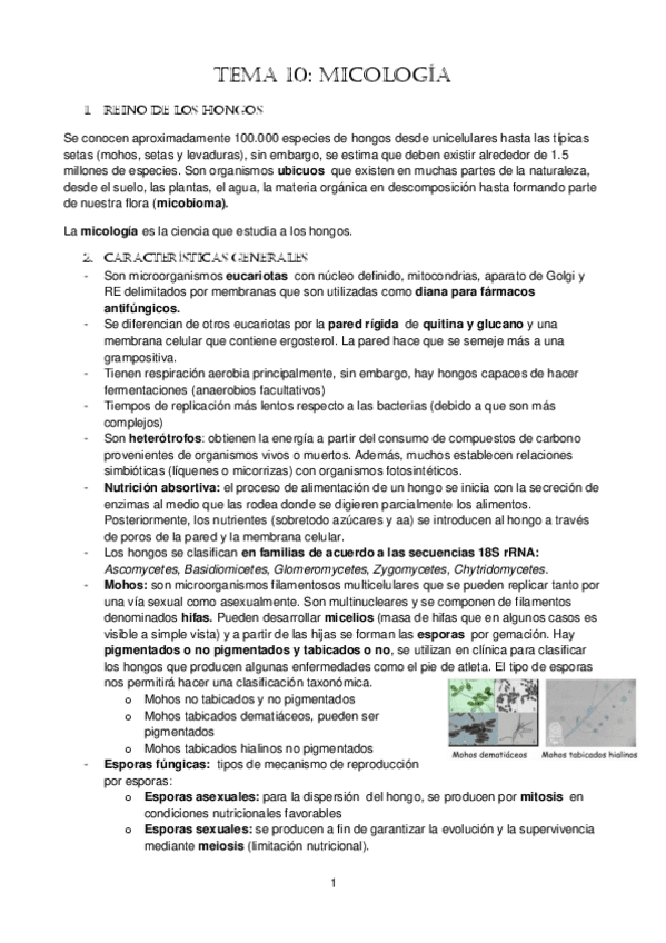 tema-10.-HONGOS.pdf