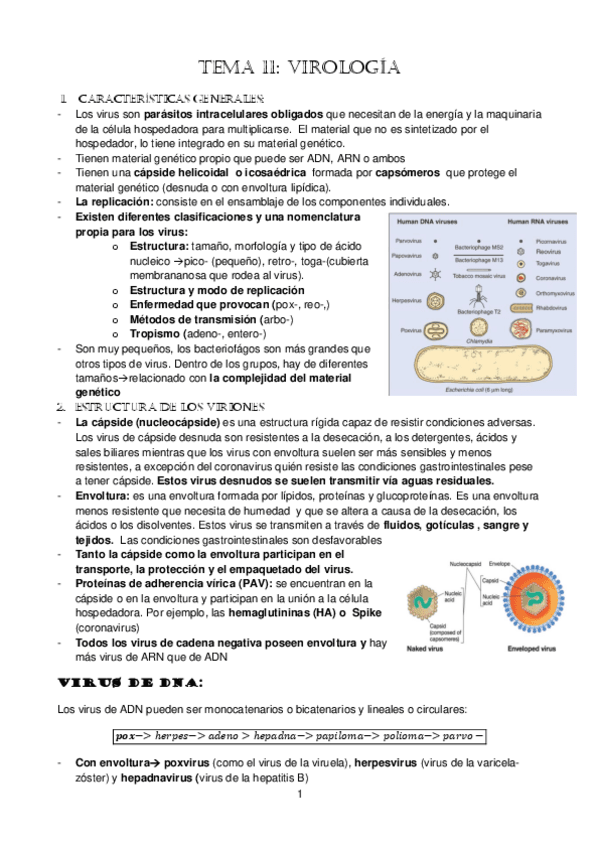 tema-11.-Virus.pdf