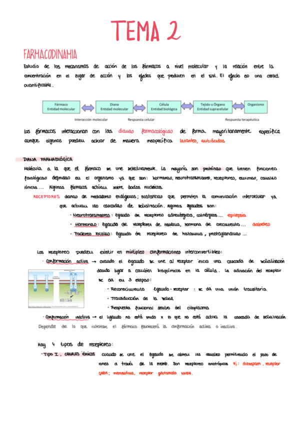 TEMA-2.pdf