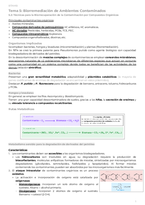 PAR2Tema-5.2-Biorremediacion-de-Ambientes-ContaminadosCompuestos-Organicos.pdf