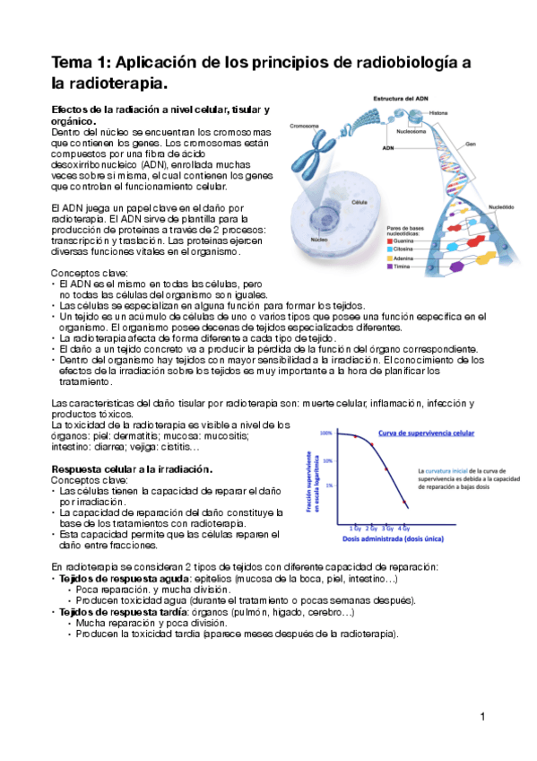 T1-Dosi.pdf