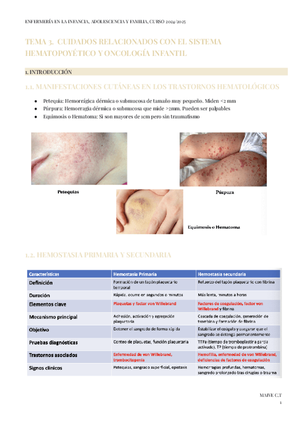BLOQUE-III.-TEMA-3.-INFANCIA-ADOLESCENCIA-Y-FAMILIA.pdf