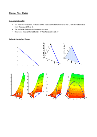 Chapter 5. Choices.pdf