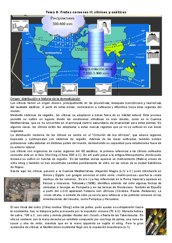 Botanica.-Tema-8.pdf