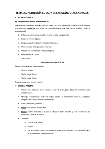 Miniatura del documento Tema 29.pdf