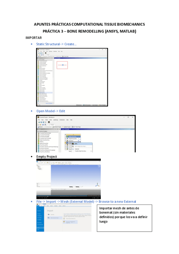 apuntes-practica3-bone-remodelling.pdf