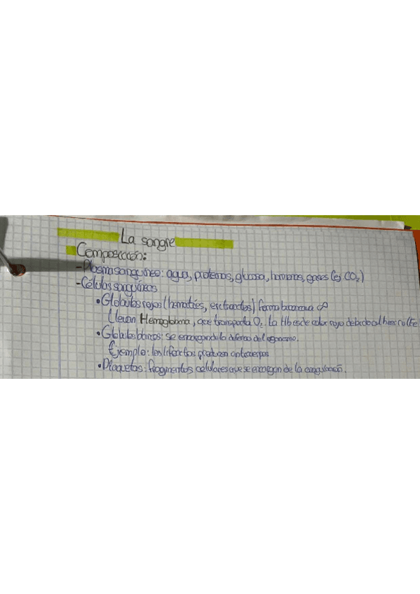 Aparatos-y-sistemaas.pdf