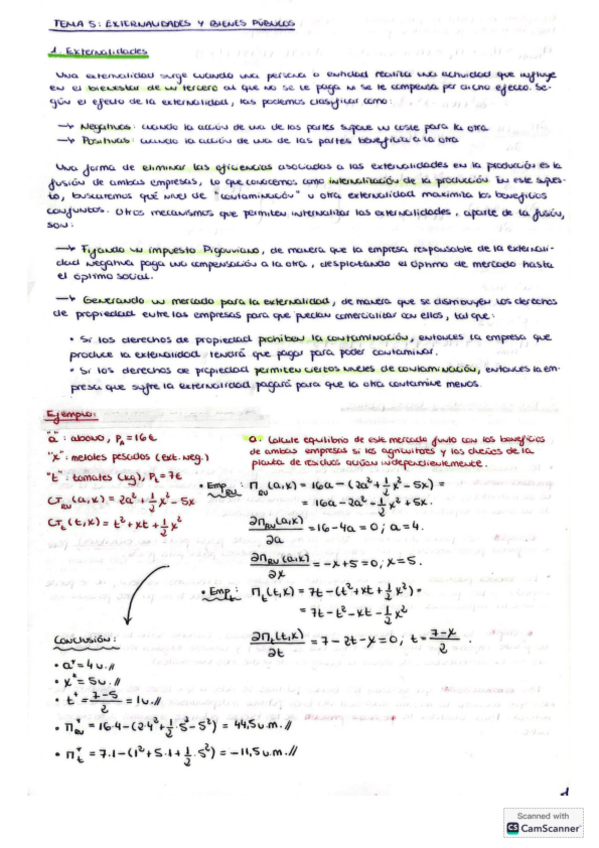TEMA-5-MICRO-II-TEORIA-Y-PRACTICAS.pdf