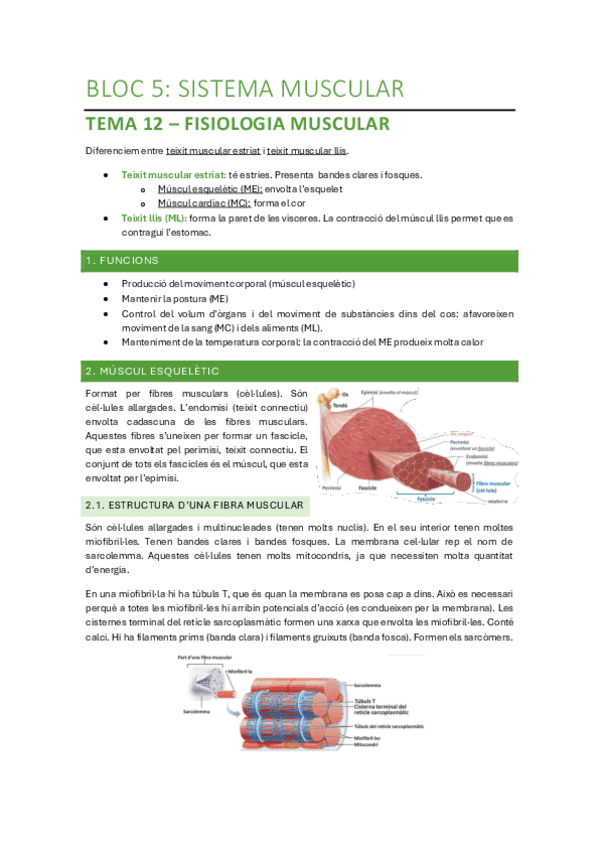 Bloc-5-Sistema-Muscular.pdf