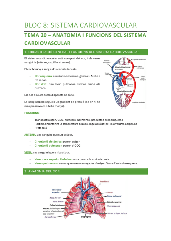 Bloc-8-Sistema-Cardiovascular.pdf