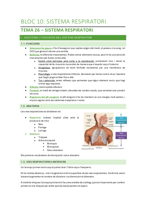 Bloc-10-Sistema-Respiratori.pdf