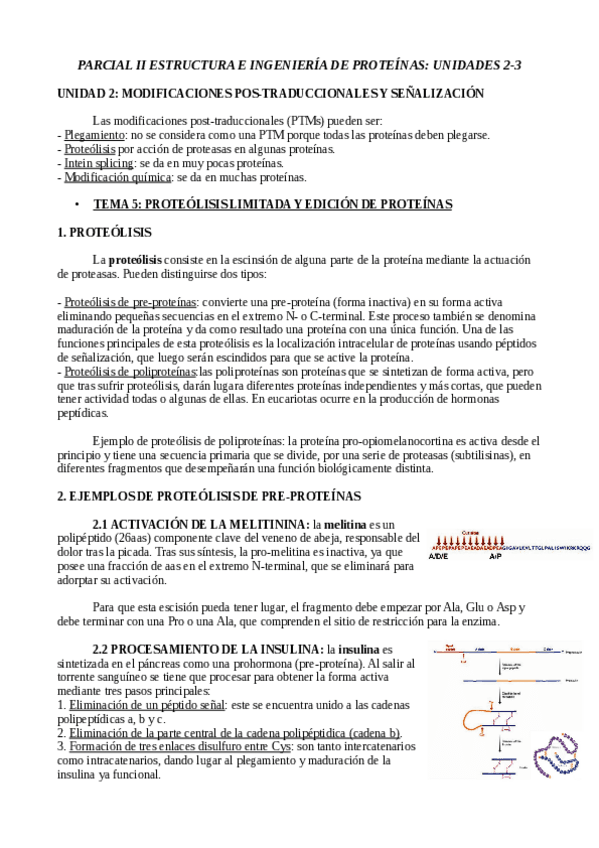 PARCIAL-II-COMPLETO.pdf