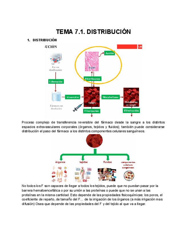 TEMA-7.1.-DISTRIBUCION.pdf