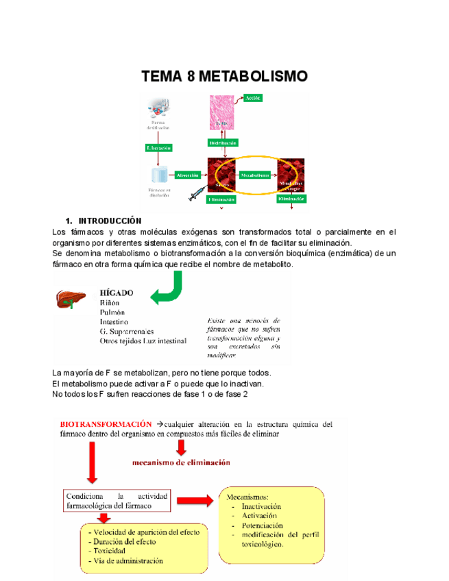 TEMA-8-METABOLISMO.pdf
