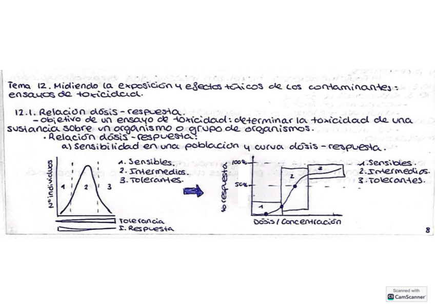 Tema-12-Fisio-Animal.pdf
