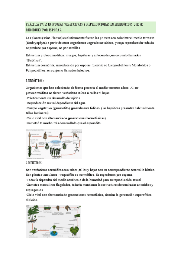 PRACTICAS-4-7.pdf