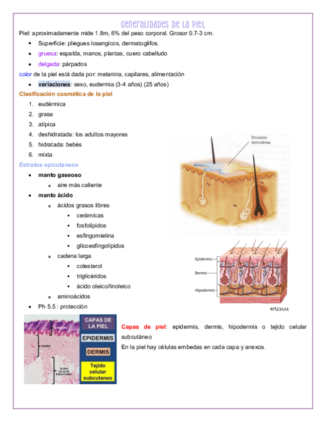 Guia-dermatologia.pdf