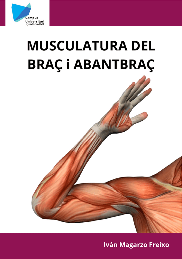 MUSCULATURA-DEL-BRAC-I-ABANTBRAC.pdf