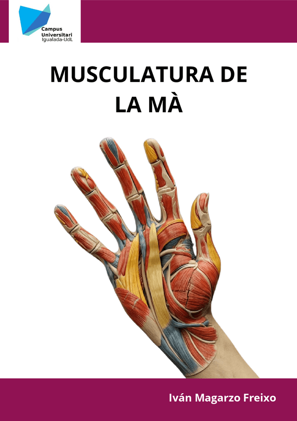 MUSCULATURA-DE-LA-MA.pdf