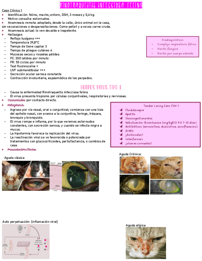 Medicina-clase-2-parte-1-complejo-respiratorio.pdf