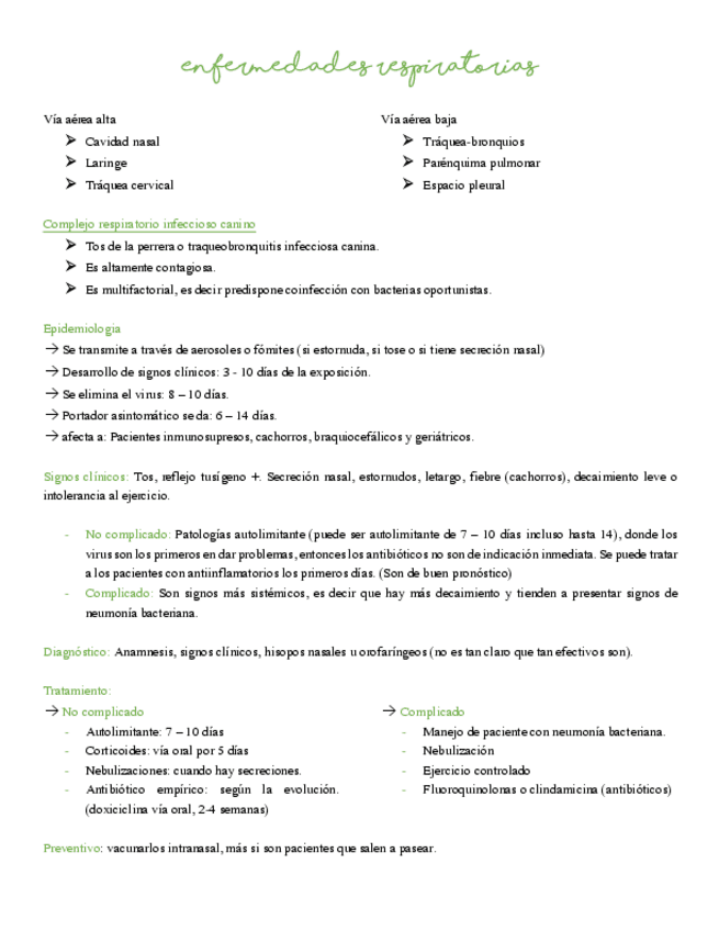 Enfermedades-respiratorias-resumen-libro.pdf