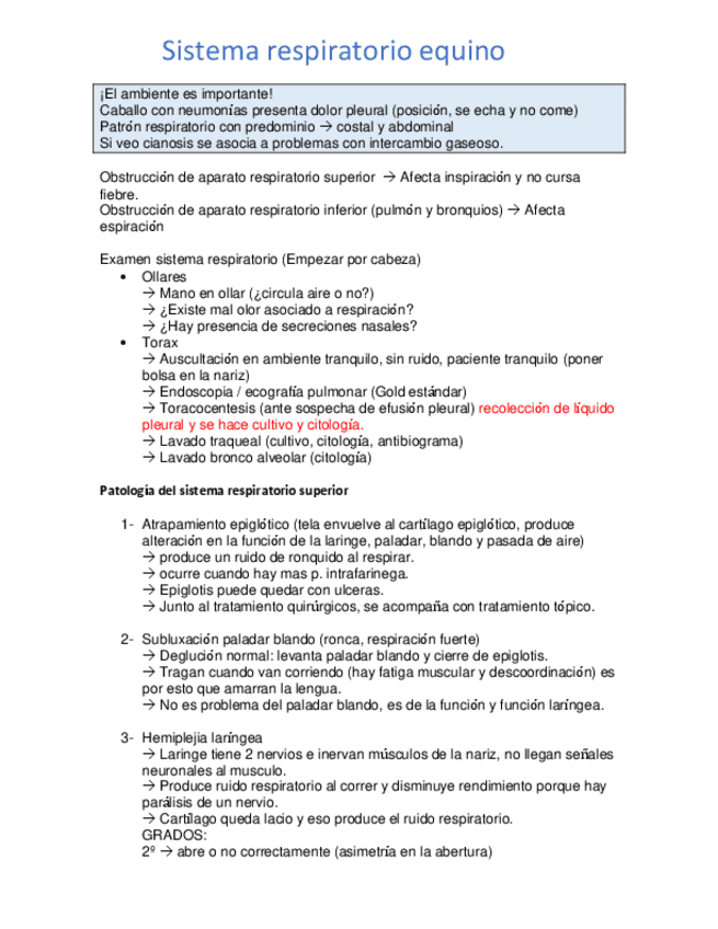Sistema-respiratorio-equino.pdf