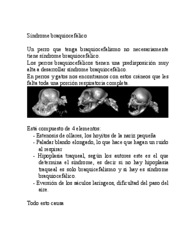 Sindrome-braquiocefalico-pdf.pdf