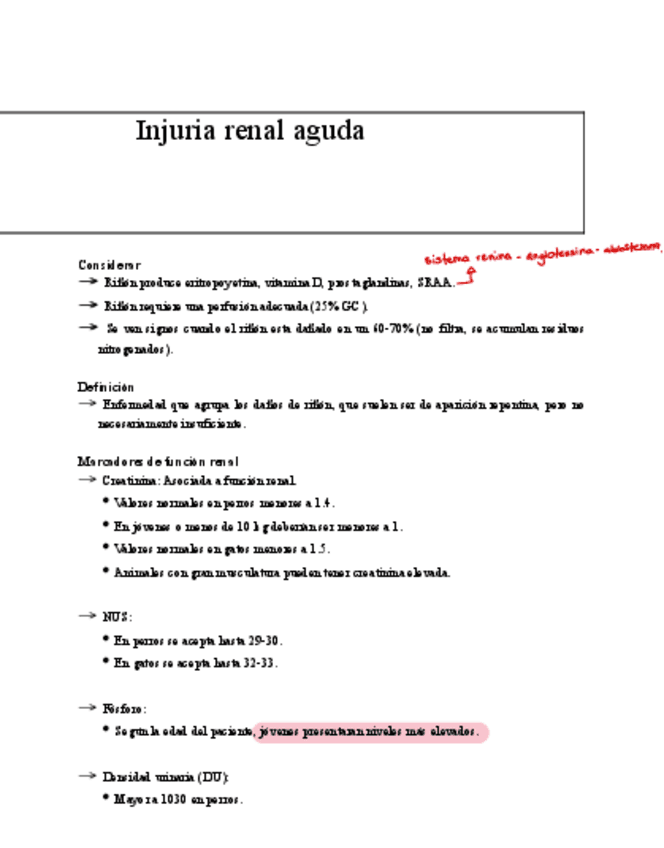 Resumen-renal-S2.pdf