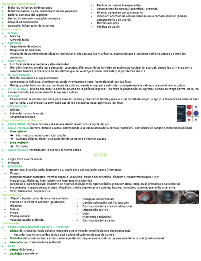 clase-medicina-oftalmologia.pdf