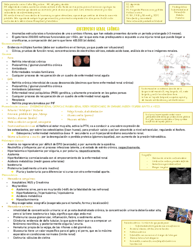 Enfermedad-Renal-medicina-solemne-3.pdf