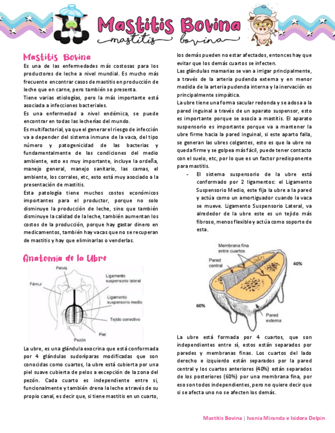 Mastitis-Bovina-pm.pdf