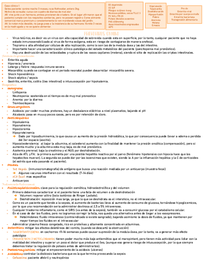 perros-infeccioso-medicina-solemne-3.pdf