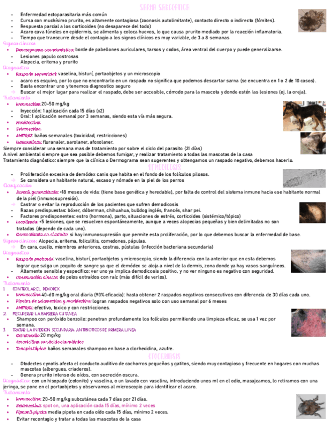 Dermato-medicina-solemne-3.pdf