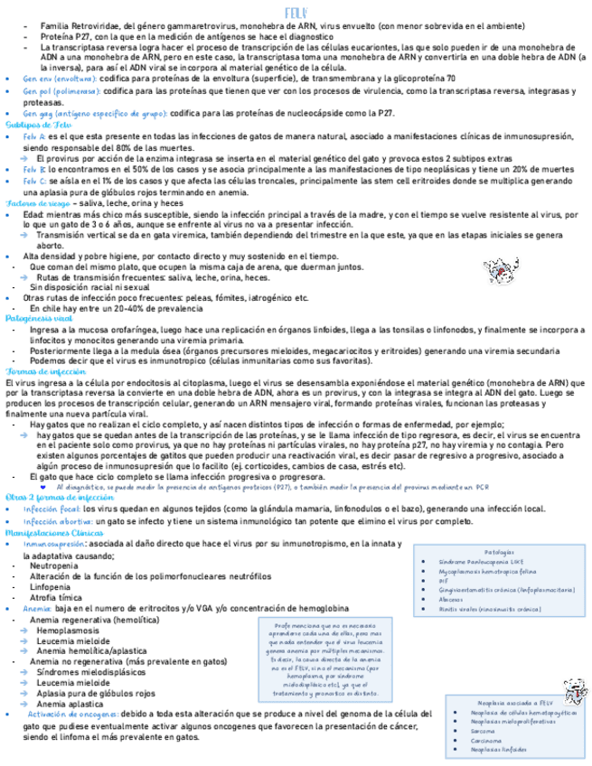 solemne-3-Gatos-infeccioso.pdf