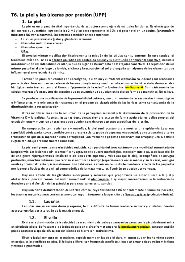 T6.-Geriatrica.pdf